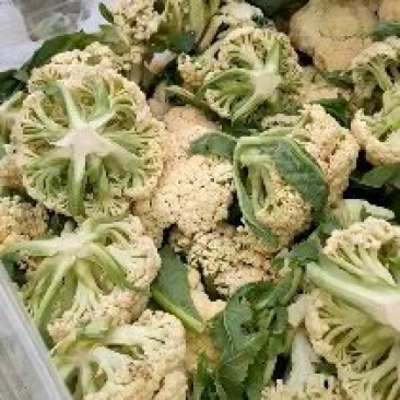 有机花加工厂货量大
