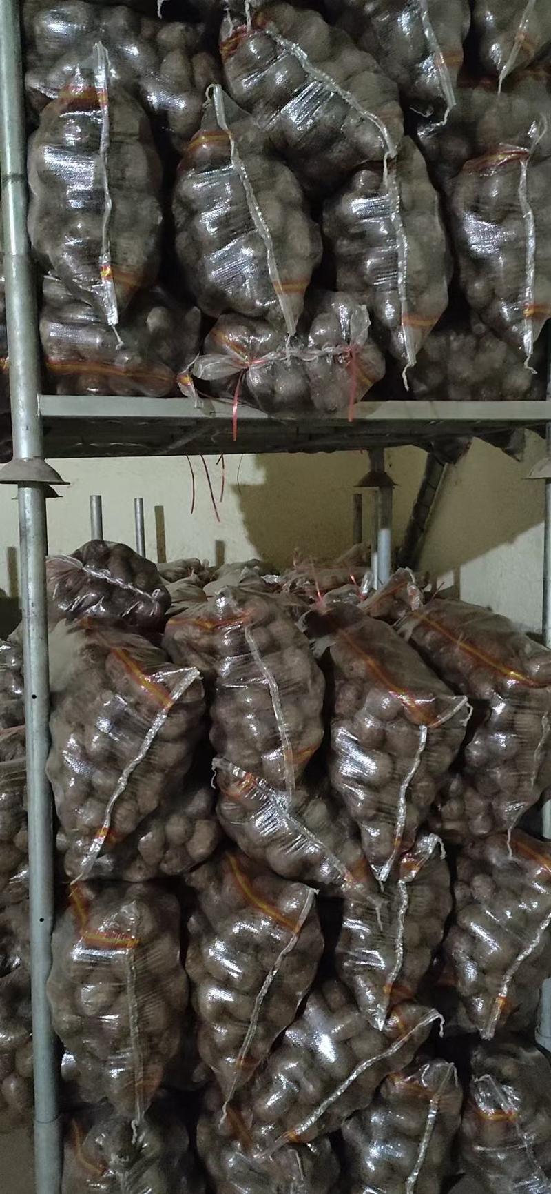 【优质】莒县芋头8520毛芋头货源充足量大从优欢迎来电