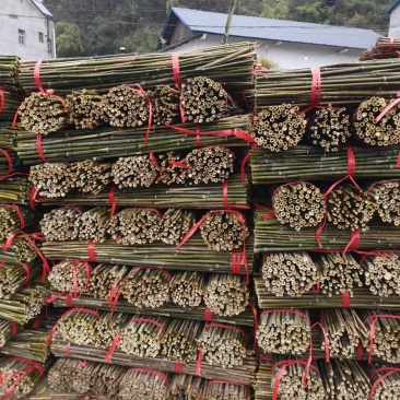 优质菜架竹竿