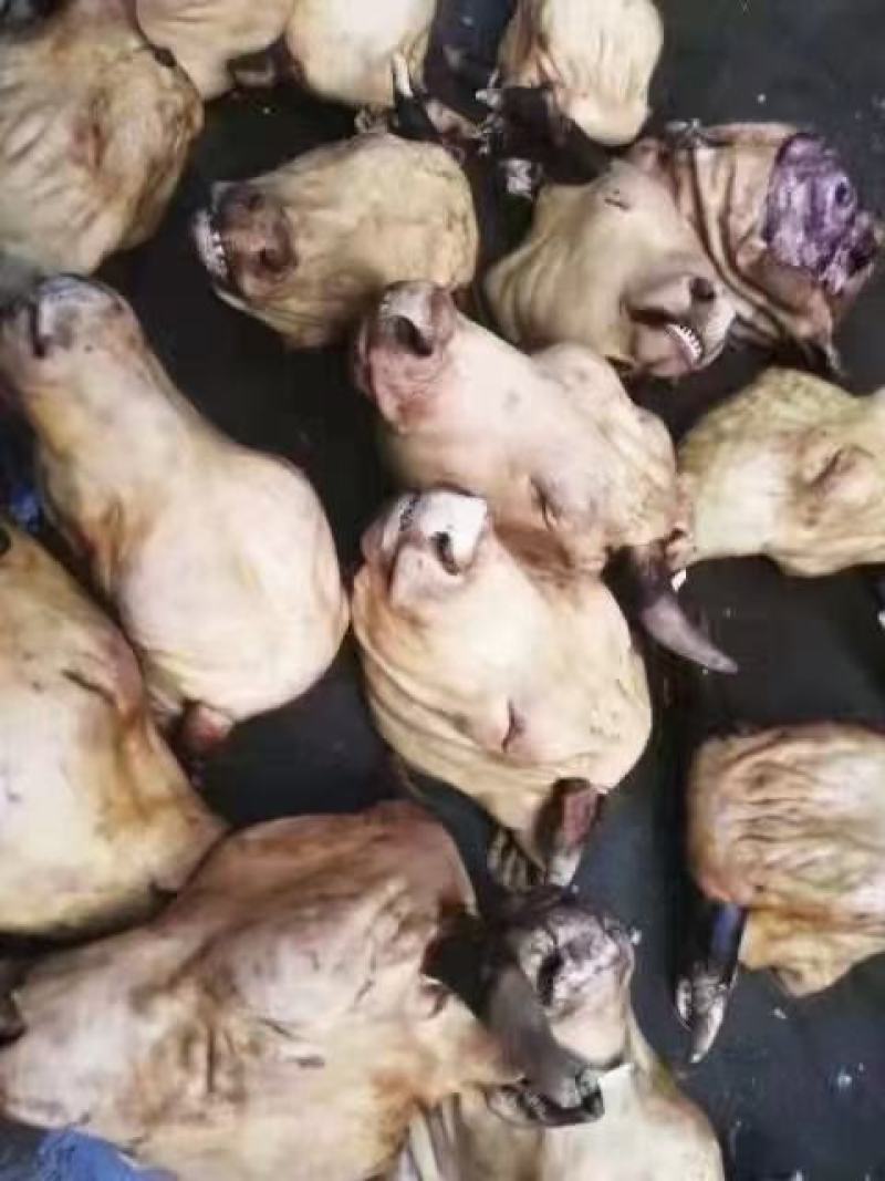 火燎牛头，带皮牛头去皮牛头都有，价格美丽