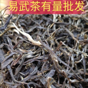 普洱茶生态茶散料易武铜箐河深林茶批发有量可定制手工压饼