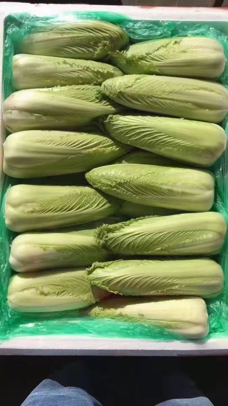 龙牙白菜