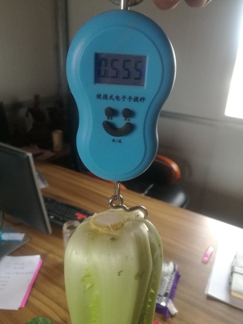龙牙白菜