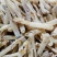 广西北海精品沙虫干（300头）