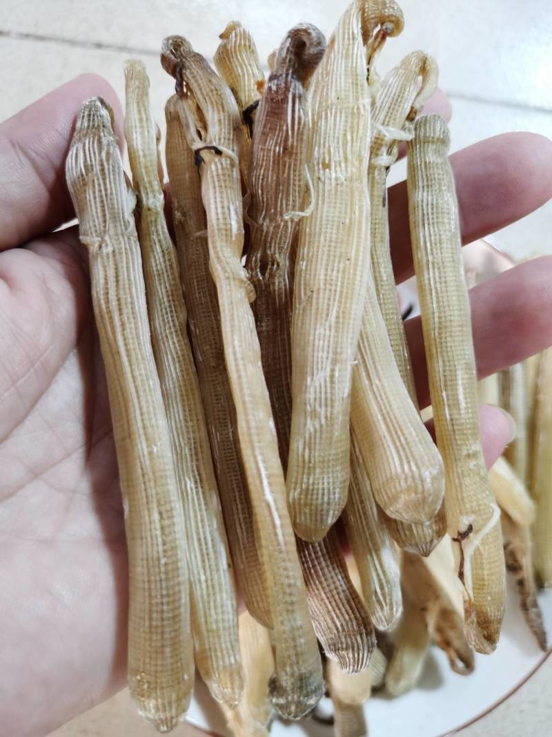 广西北海精品沙虫干（300头）