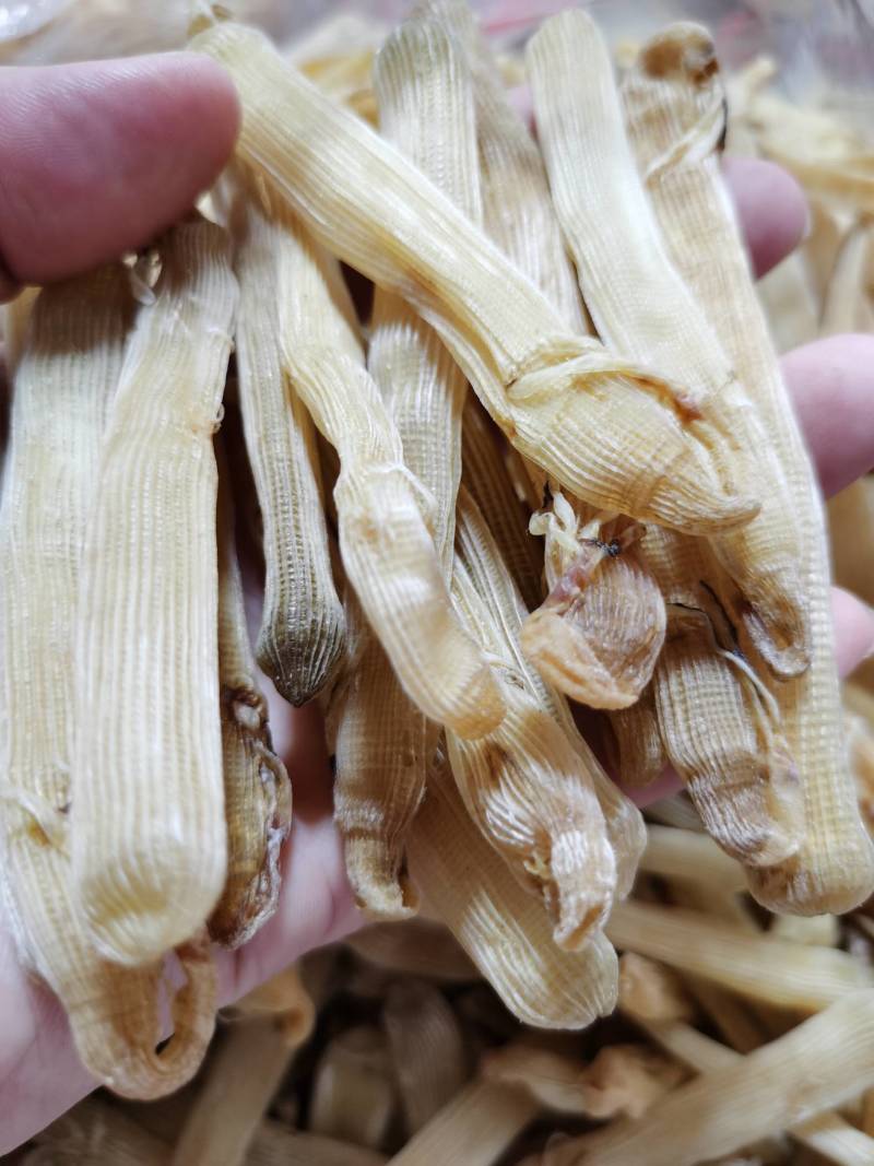 广西北海精品沙虫干（300头）