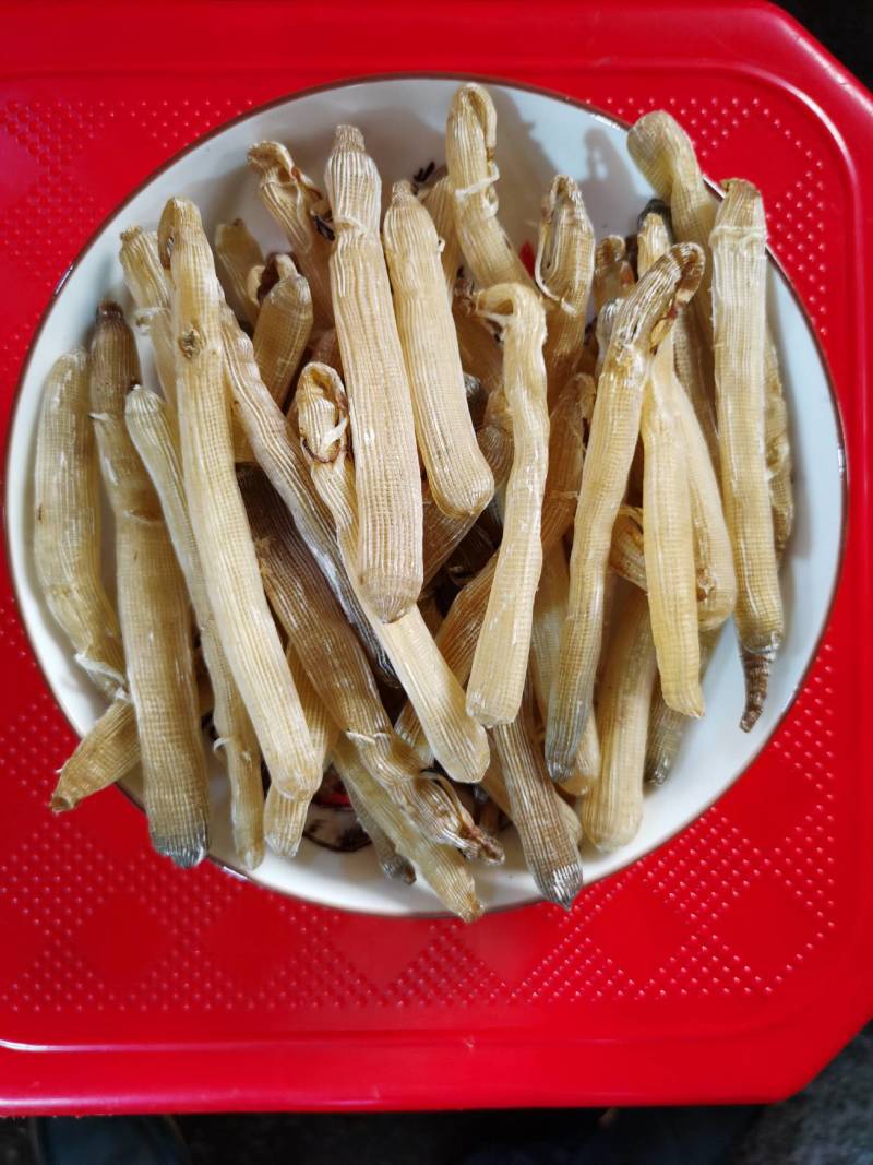 广西北海精品沙虫干（300头）