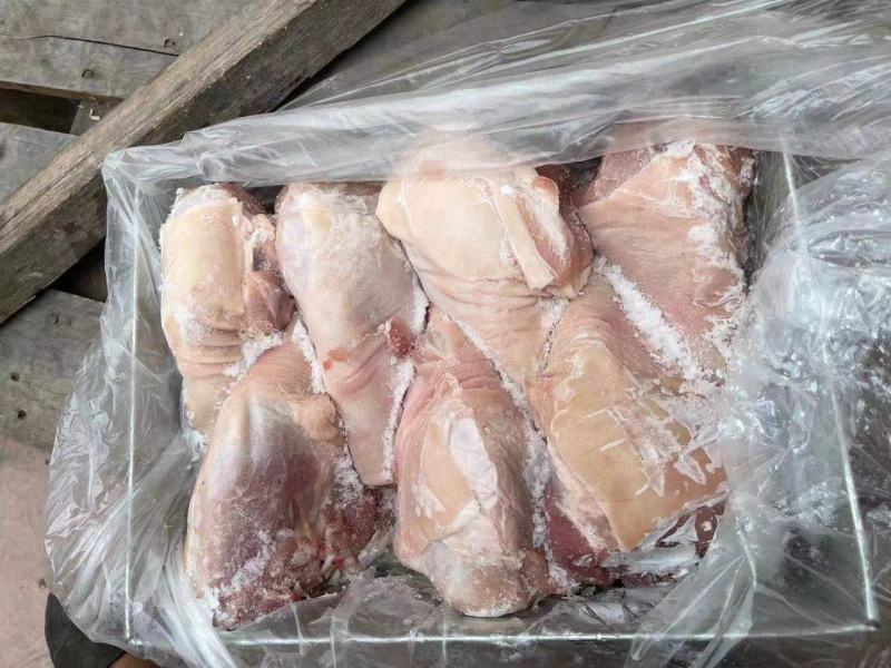 国产肥猪前后肘子