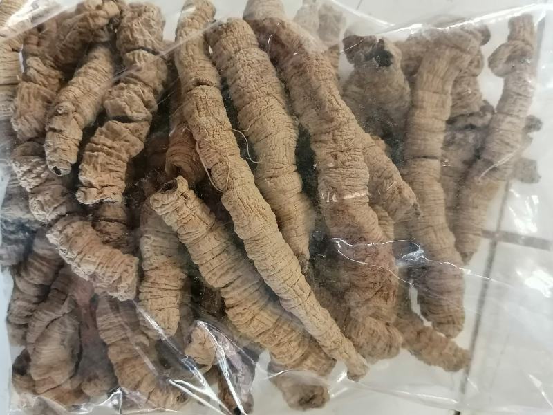 巴戟天【精选】特大够老紫肉生晒抽心巴戟天干货！