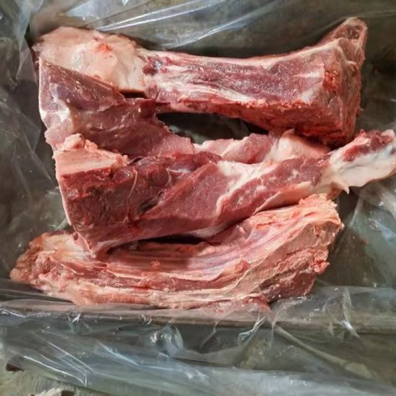 母猪尾骨