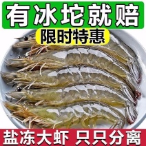 青岛大虾鲜活新鲜盐冻大虾特大号批发一箱对虾白对虾白虾海捕