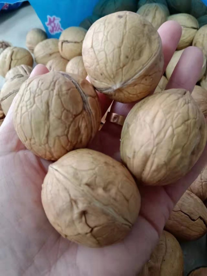 草本手剥熟核桃对接电商社区团购可按要求包装资质齐全一手货