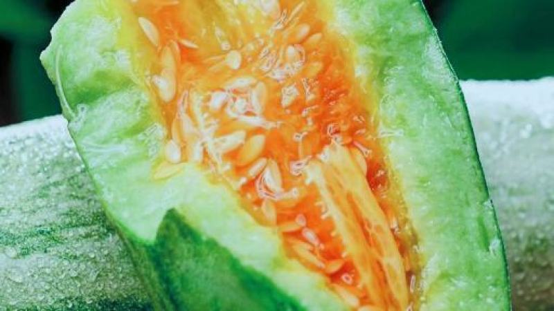 山东寿光羊角蜜甜瓜羊角脆香瓜博洋61羊角蜜脆甜可口