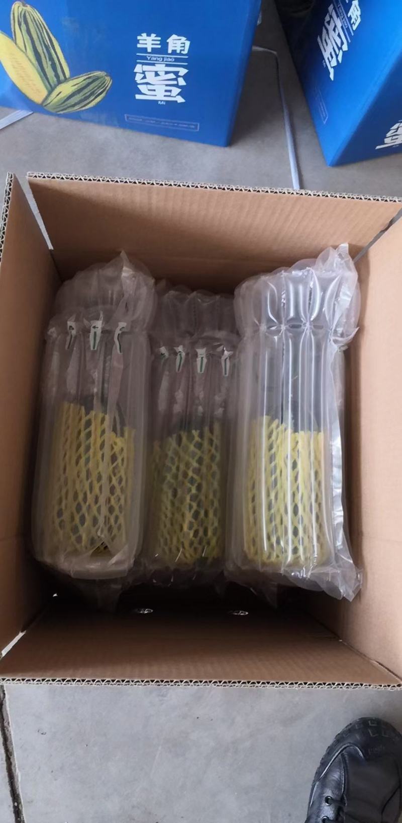 一件代发羊角蜜61博洋72蜜源18博洋9品种齐全产地代办