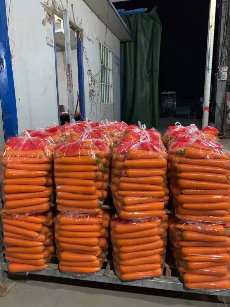 精品水洗胡萝卜，产地直供一手货源批发，品质保证价格美丽！