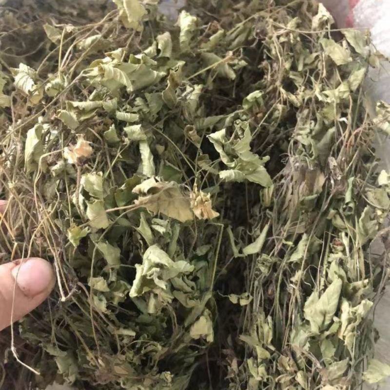 蛇莓，产地直道地药材，药典标准，支持线上交易保障
