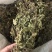 蛇莓,产地直道地药材,药典标准,支持线上交易保障