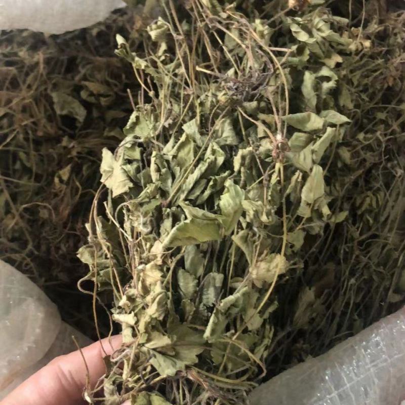 蛇莓，产地直道地药材，药典标准，支持线上交易保障