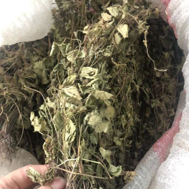 蛇莓，产地直道地药材，药典标准，支持线上交易保障