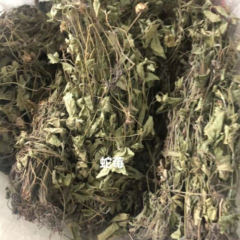 蛇莓，产地直道地药材，药典标准，支持线上交易保障