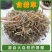 中草药含羞草野生中药材红骨茎含羞草怕羞草害羞草