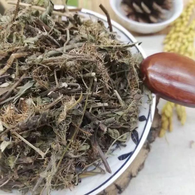 中草药含羞草野生中药材红骨茎含羞草怕羞草害羞草