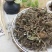 中草药含羞草野生中药材红骨茎含羞草怕羞草害羞草