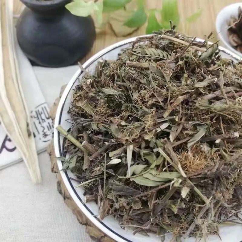 中草药含羞草野生中药材红骨茎含羞草怕羞草害羞草