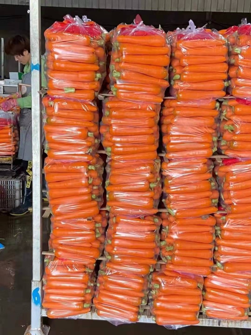 河南精品胡萝卜，三红胡萝卜水洗土货代发全国商超市场