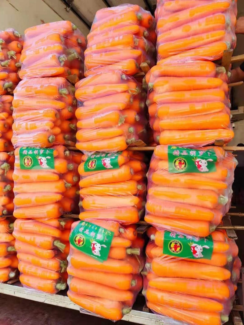 河南精品胡萝卜，三红胡萝卜水洗土货代发全国商超市场