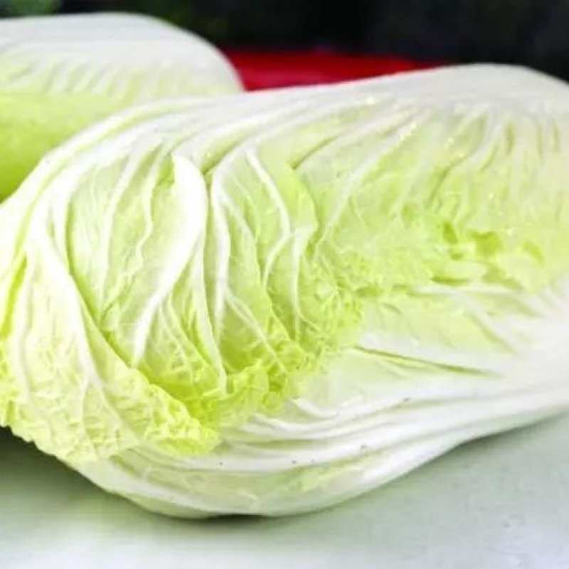 精品大白菜黄心白菜白白菜产地直销无中间商