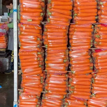 精品水洗胡萝卜，产地直供一手货源批发，品质保证价格美丽！
