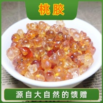 云南天然野生桃胶特级桃树胶云南天然野生桃胶特级桃树胶云南