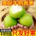 【精美礼盒装】贵妃牛奶枣特大青枣甜脆奶枣新鲜大枣子当季
