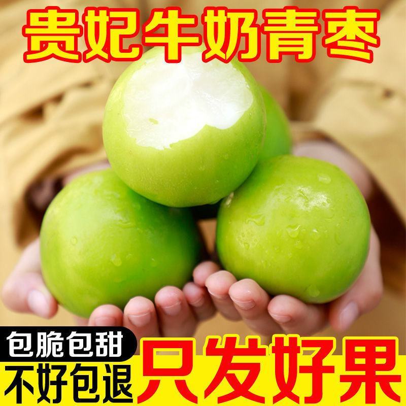 【精美礼盒装】贵妃牛奶枣特大青枣甜脆奶枣新鲜大枣子当季