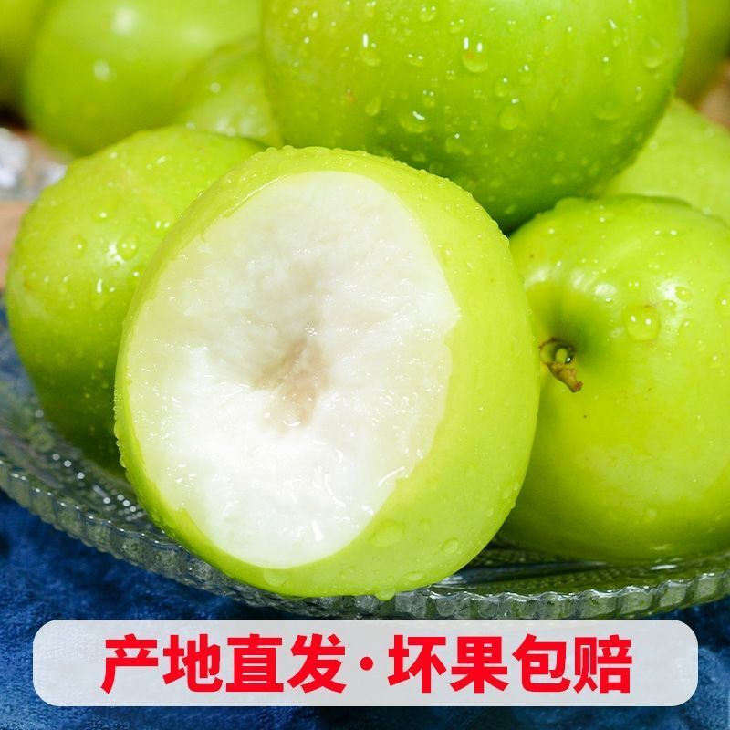 【精美礼盒装】贵妃牛奶枣特大青枣甜脆奶枣新鲜大枣子当季