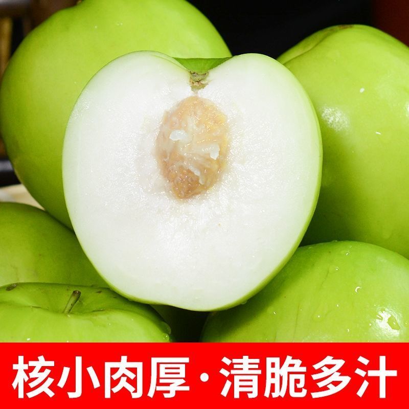 【精美礼盒装】贵妃牛奶枣特大青枣甜脆奶枣新鲜大枣子当季