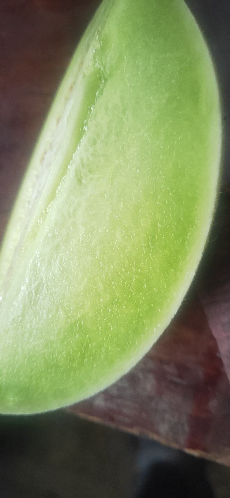 浙江台州玉菇甜瓜一级精品果，实力代办