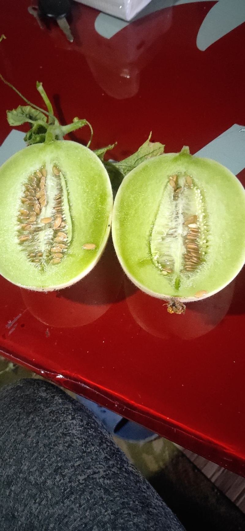 浙江台州玉菇甜瓜一级精品果，实力代办