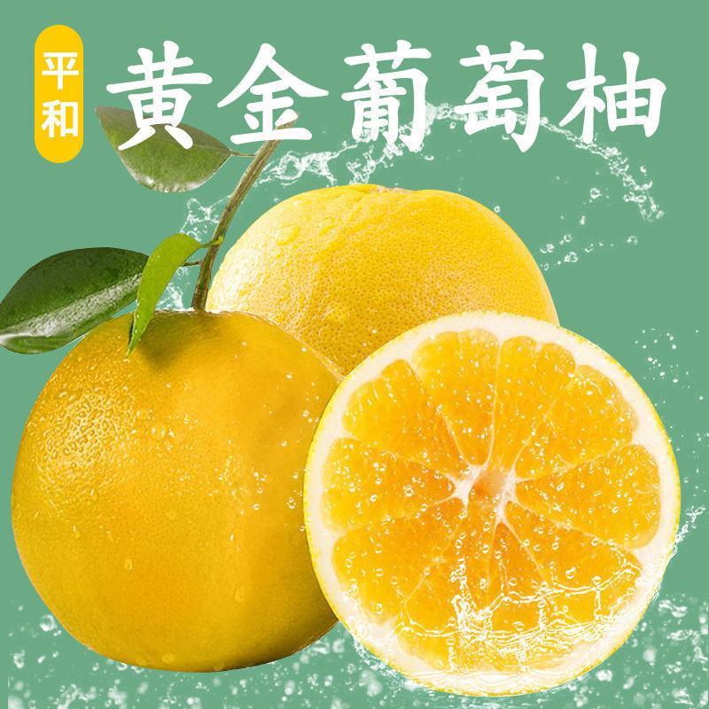 【超甜】爆汁黄金葡萄柚新鲜水果黄肉应季水果柚子整箱包邮礼