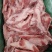 多肉月牙骨，带肉月牙骨，小块月牙骨都有，价格低，欢迎询价