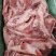 多肉月牙骨，带肉月牙骨，小块月牙骨都有，价格低，欢迎询价