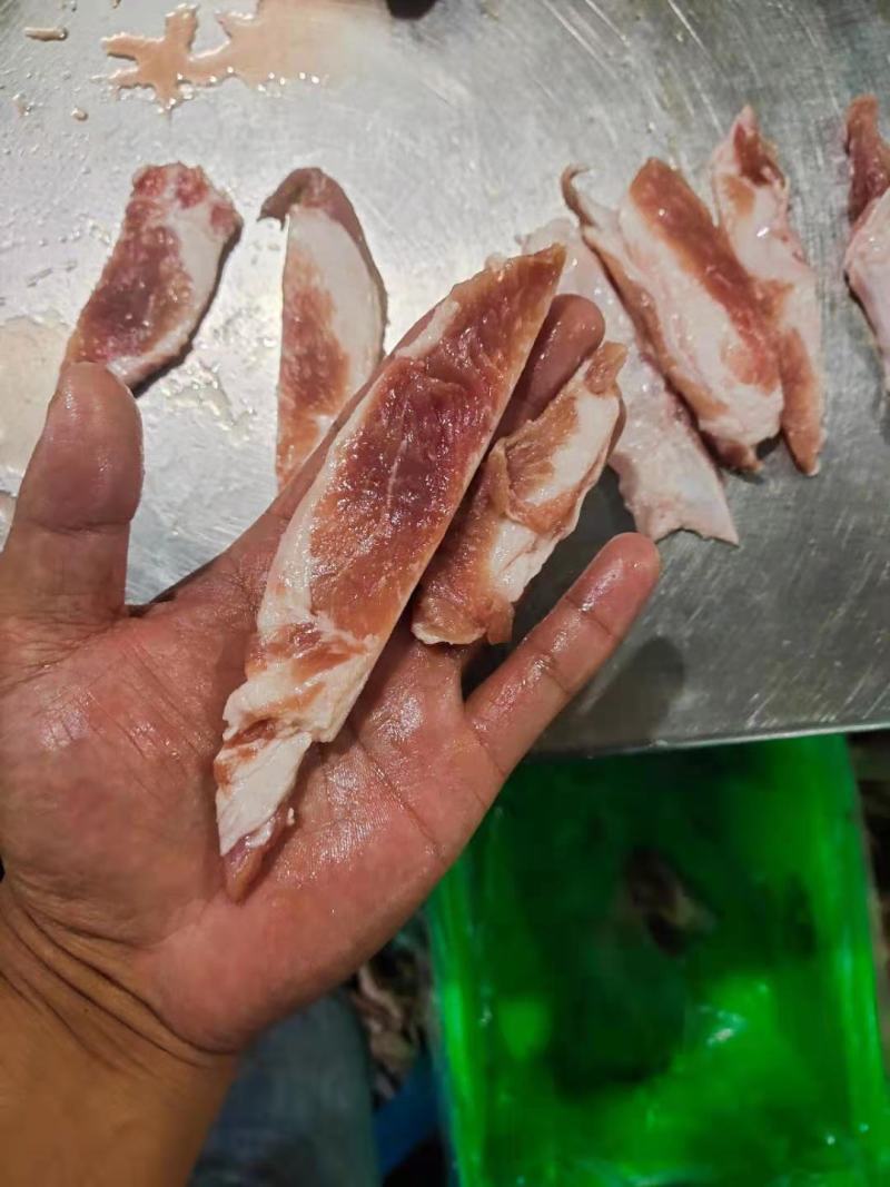 多肉月牙骨，带肉月牙骨，小块月牙骨都有，价格低，欢迎询价