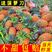 【一件代发】徐闻香水菠萝5/9斤新鲜水果包邮当季热带菠萝