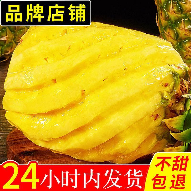 【一件代发】徐闻香水菠萝5/9斤新鲜水果包邮当季热带菠萝
