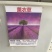 薰衣草种子四季易种普罗旺斯薰衣草种子多年生花草种子包邮