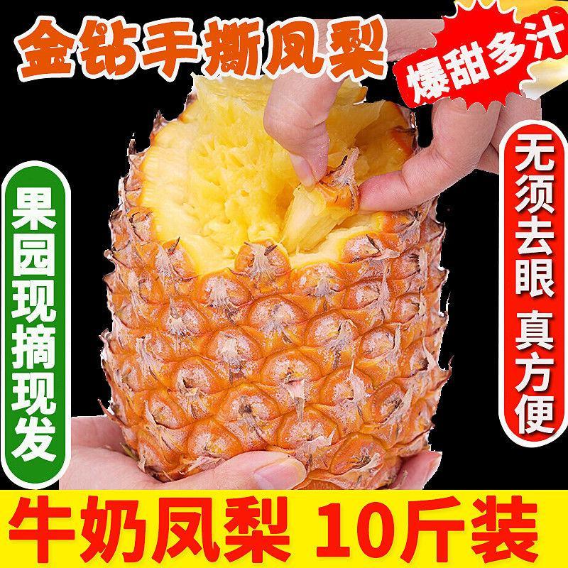 爆甜爆汁10斤金钻凤梨新鲜水果手撕无眼凤梨1/5/8斤