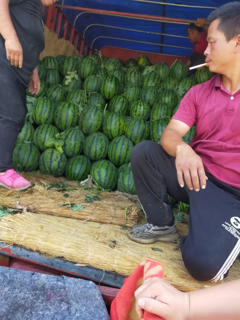 甜王西瓜聊城许营原产地质量突出可对接超市电商市场团购