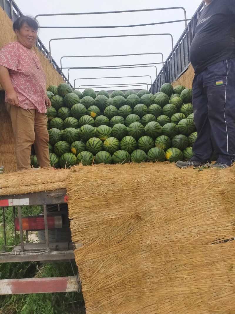 甜王西瓜聊城许营原产地质量突出可对接超市电商市场团购