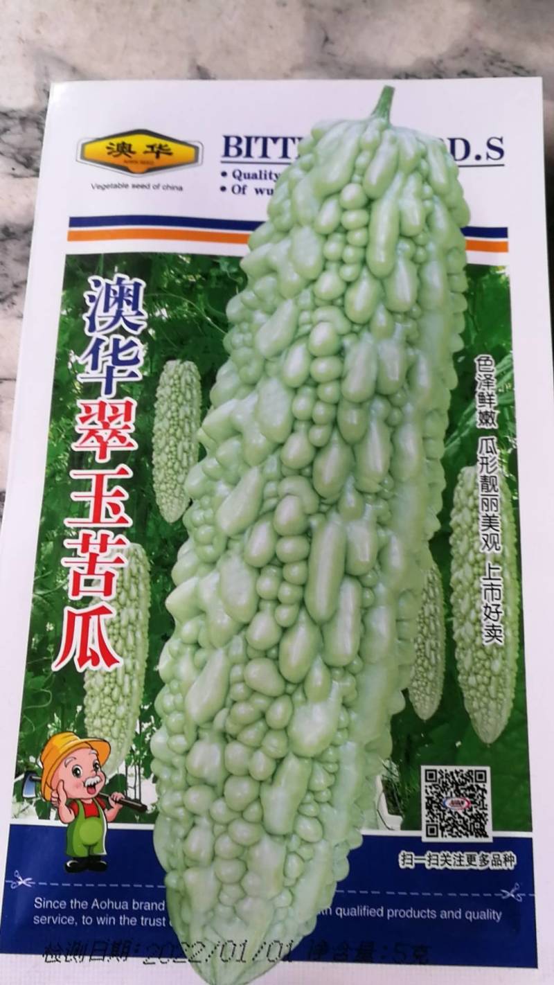 翠玉苦瓜，色泽鲜嫩瓜形靓丽美观上市好卖。